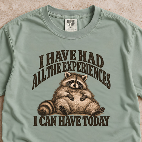 I Have Had All the Experiences I Can Have Today Shirt