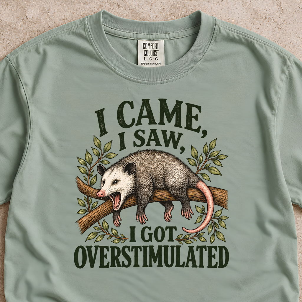 I Came, I Saw, I Got Overstimulated Shirt