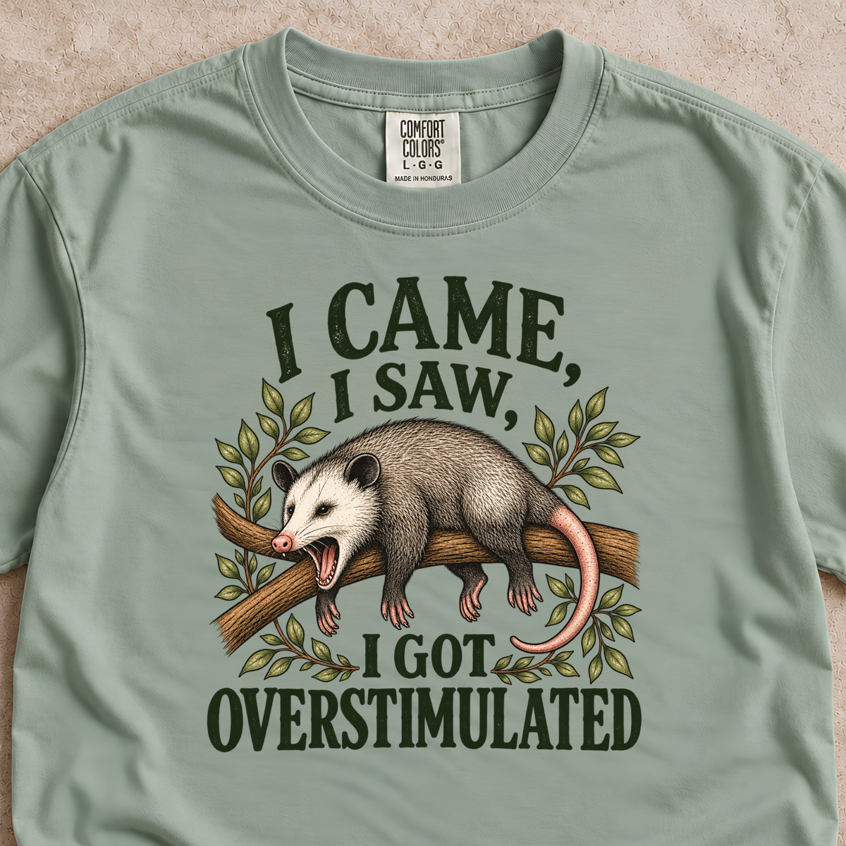 I Came, I Saw, I Got Overstimulated Shirt