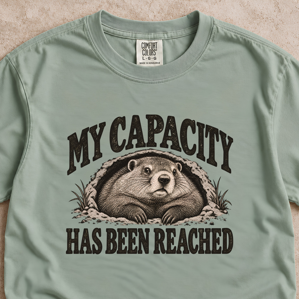 My Capacity Has Been Reached Shirt