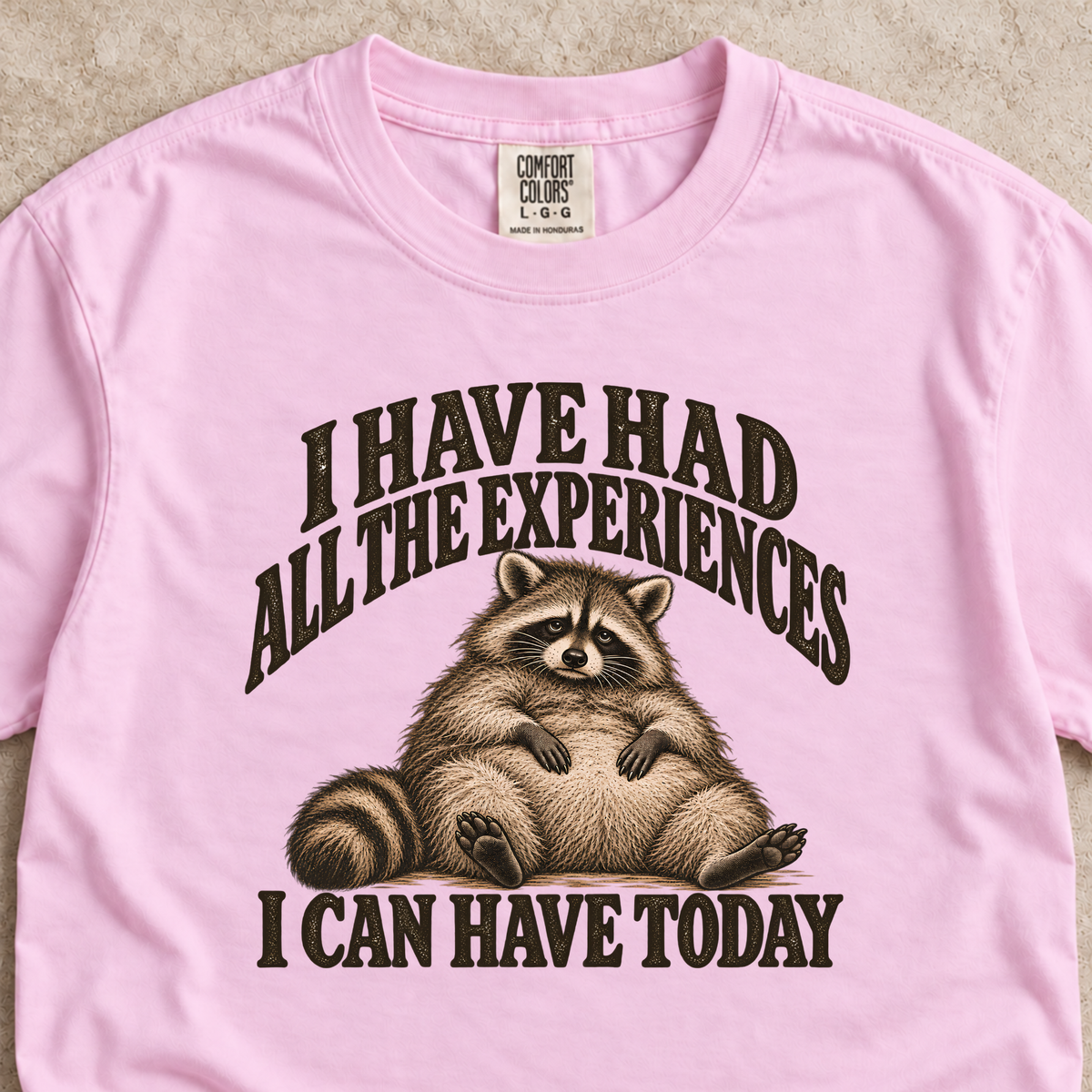I Have Had All the Experiences I Can Have Today Shirt