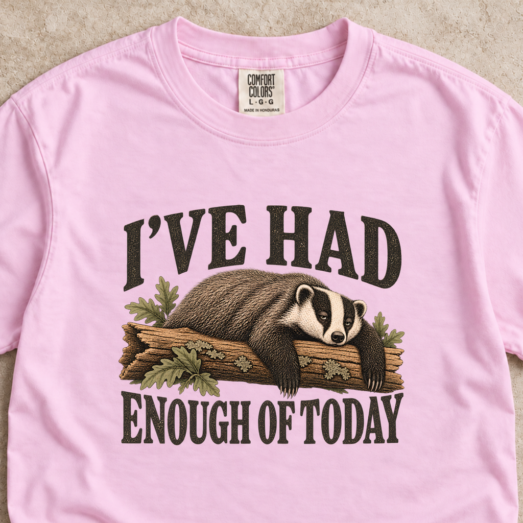 I've Had Enough of Today Shirt