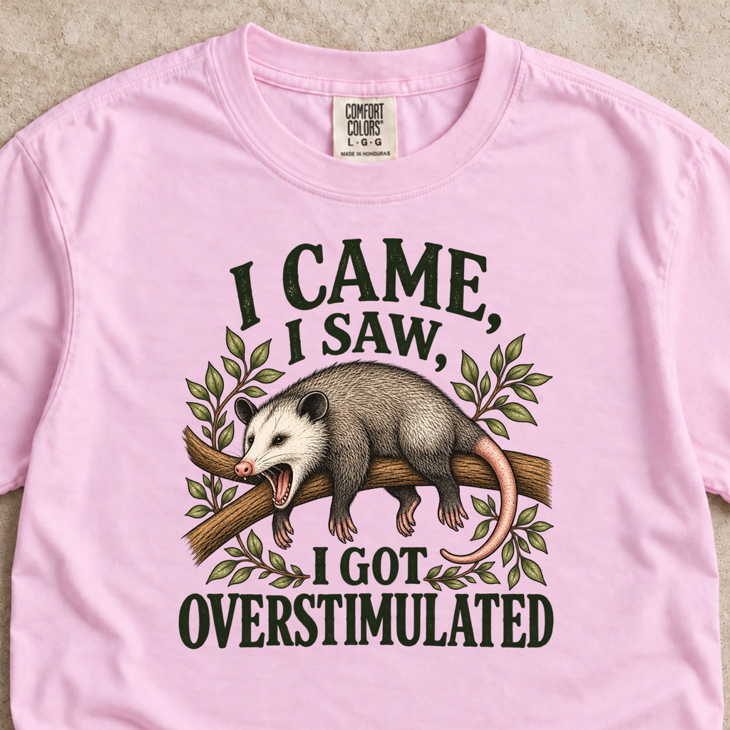 I Came, I Saw, I Got Overstimulated Shirt