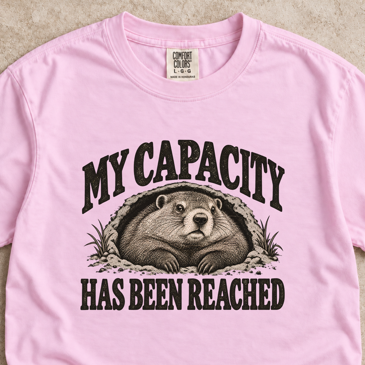 My Capacity Has Been Reached Shirt