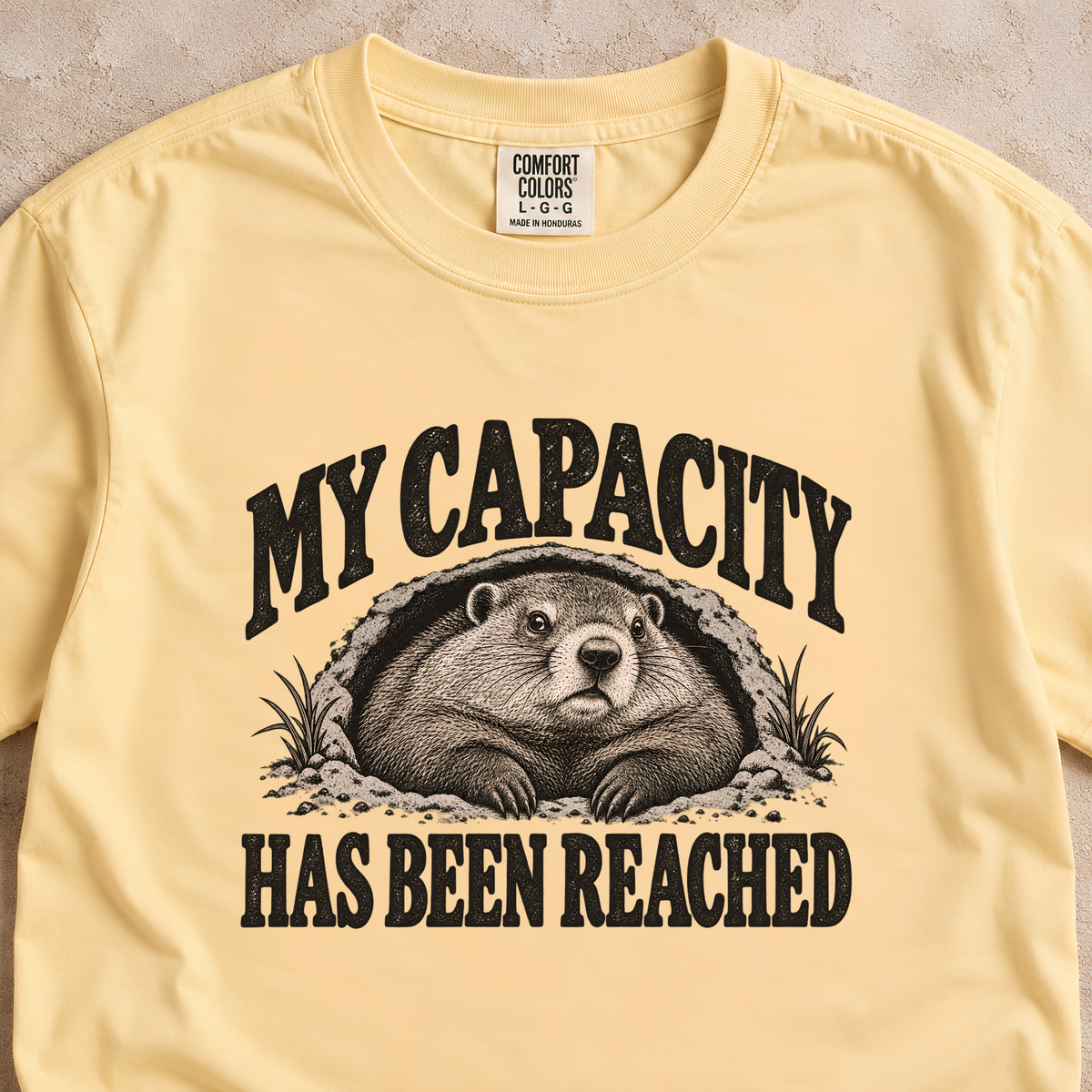 My Capacity Has Been Reached Shirt