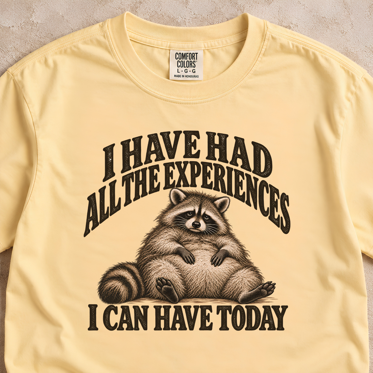 I Have Had All the Experiences I Can Have Today Shirt
