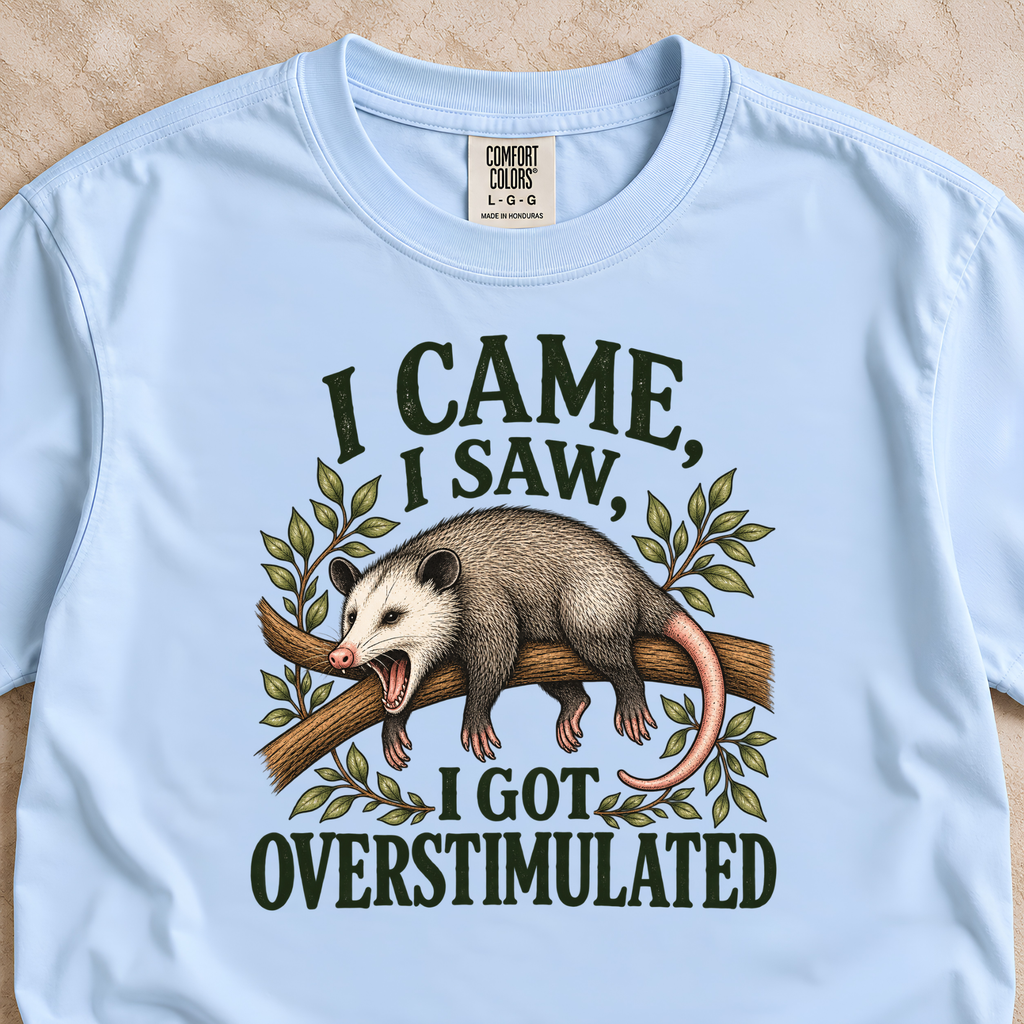 I Came, I Saw, I Got Overstimulated Shirt