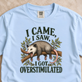 I Came, I Saw, I Got Overstimulated Shirt