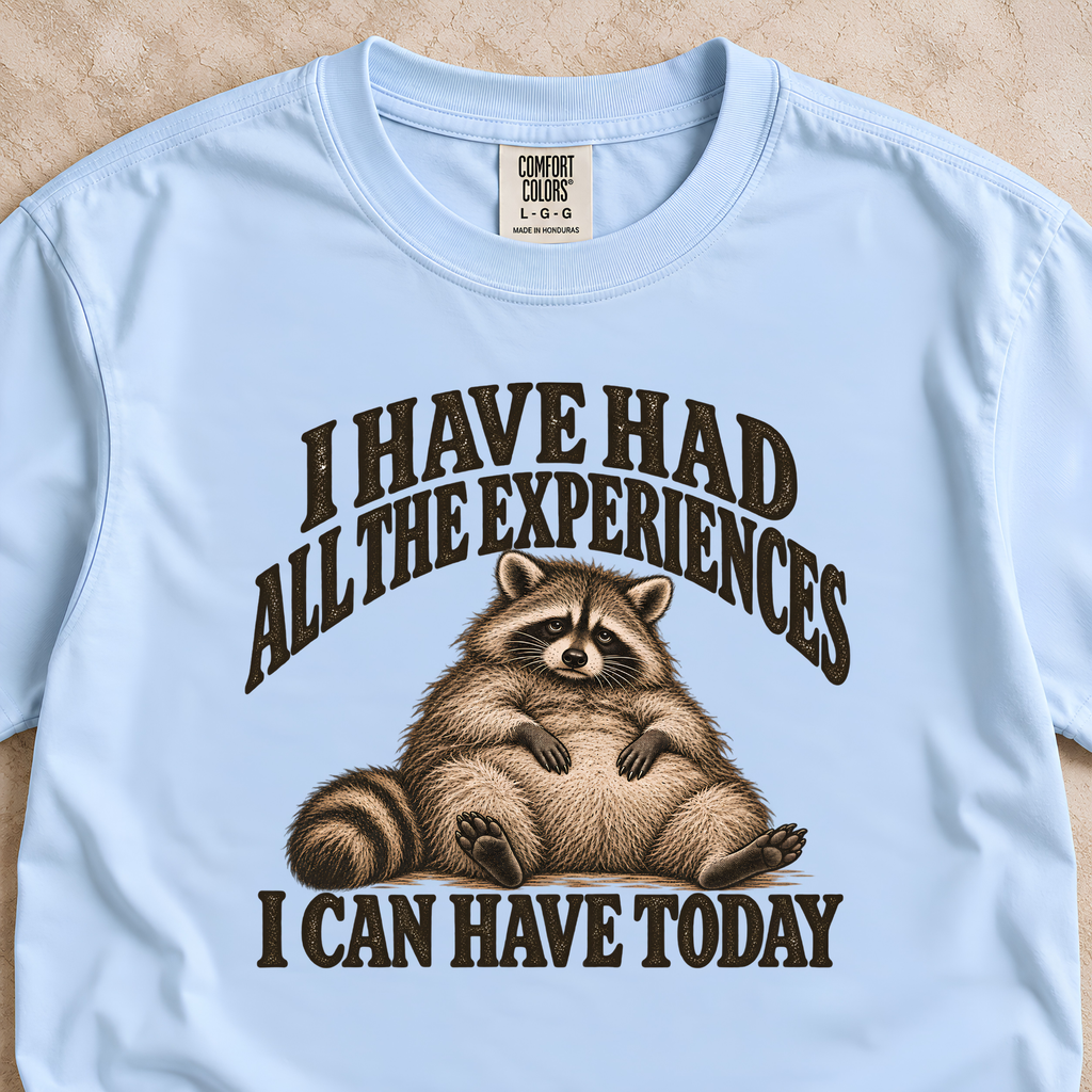 I Have Had All the Experiences I Can Have Today Shirt