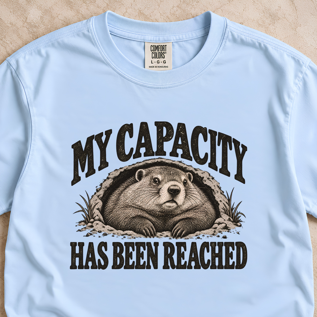 My Capacity Has Been Reached Shirt