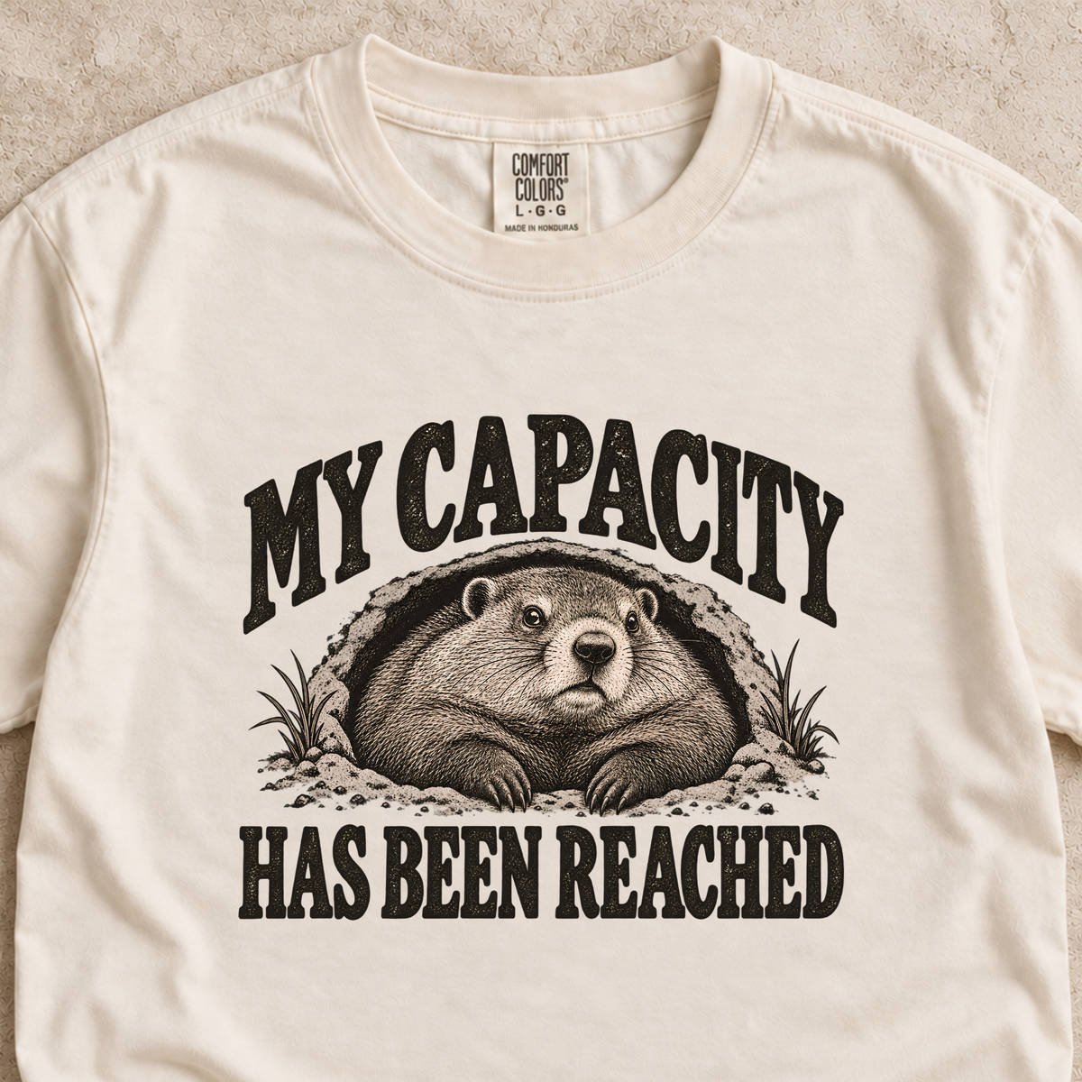 My Capacity Has Been Reached Shirt