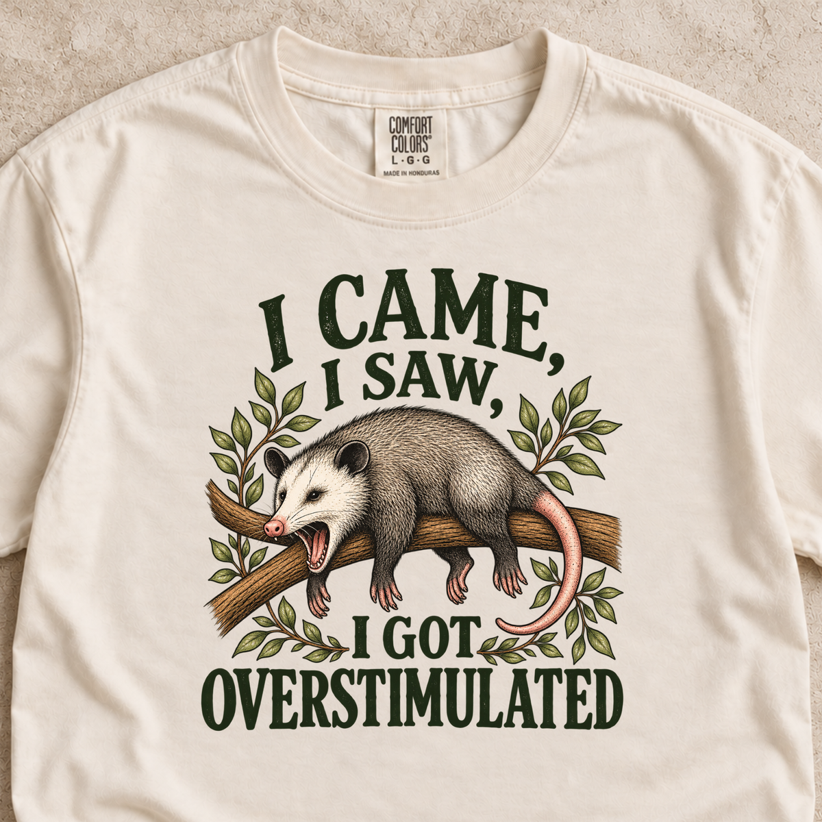 I Came, I Saw, I Got Overstimulated Shirt