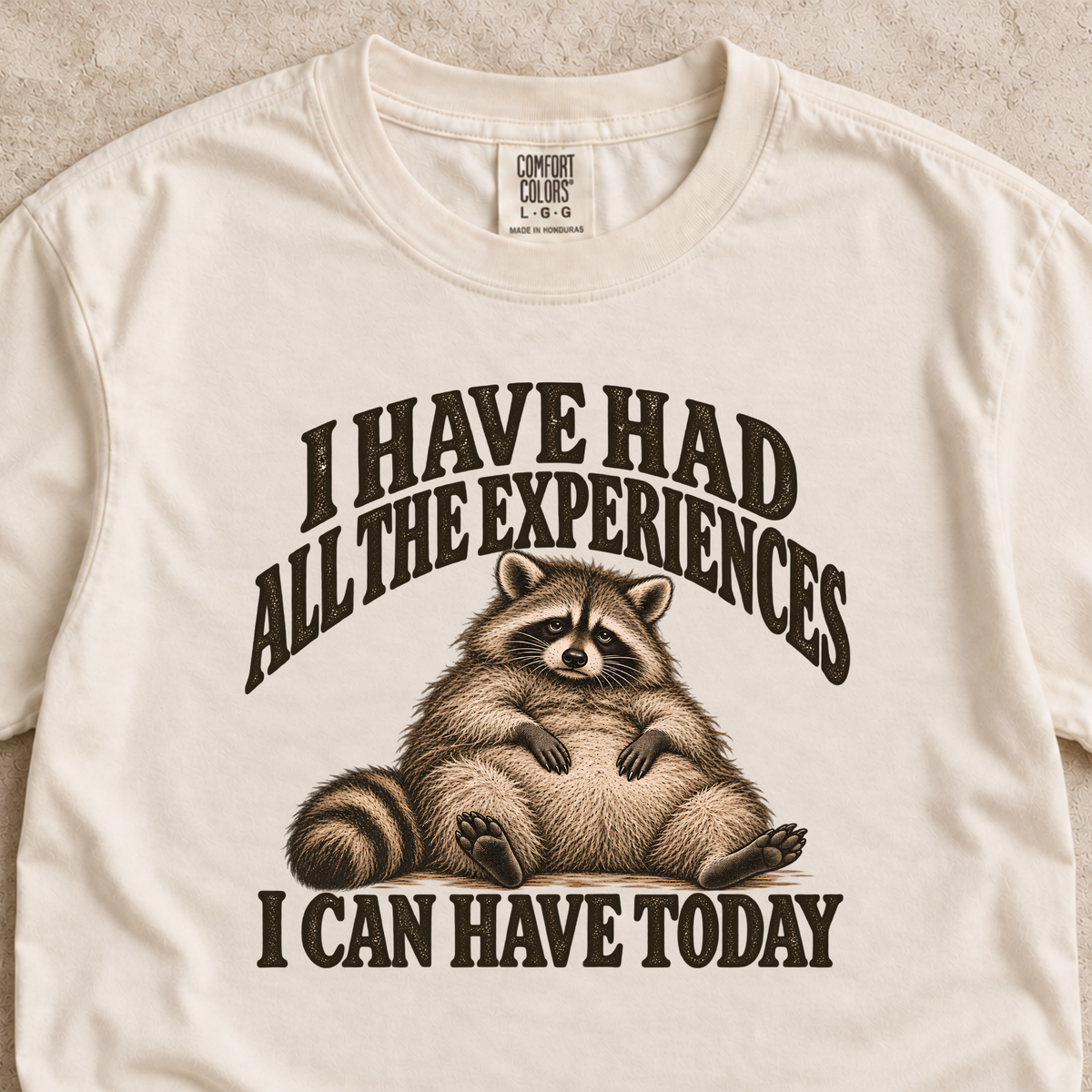 I Have Had All the Experiences I Can Have Today Shirt