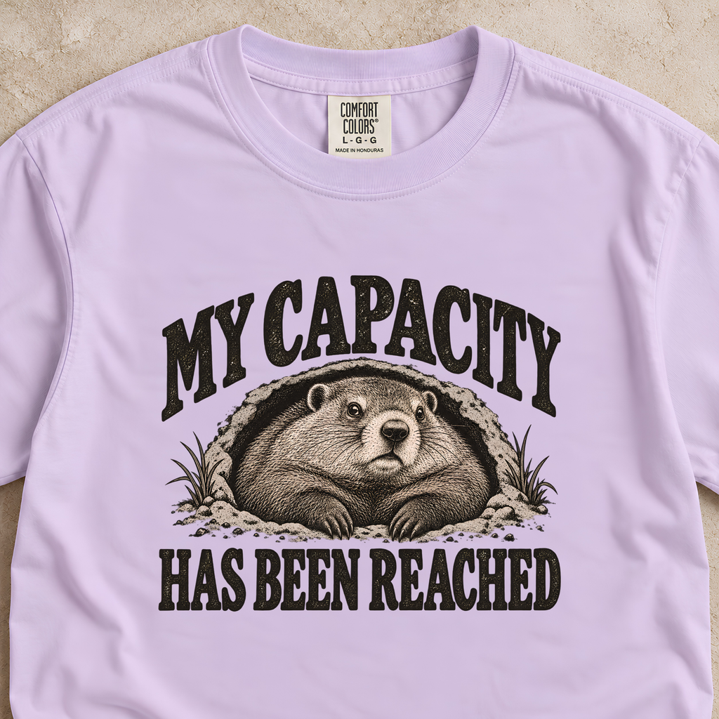 My Capacity Has Been Reached Shirt