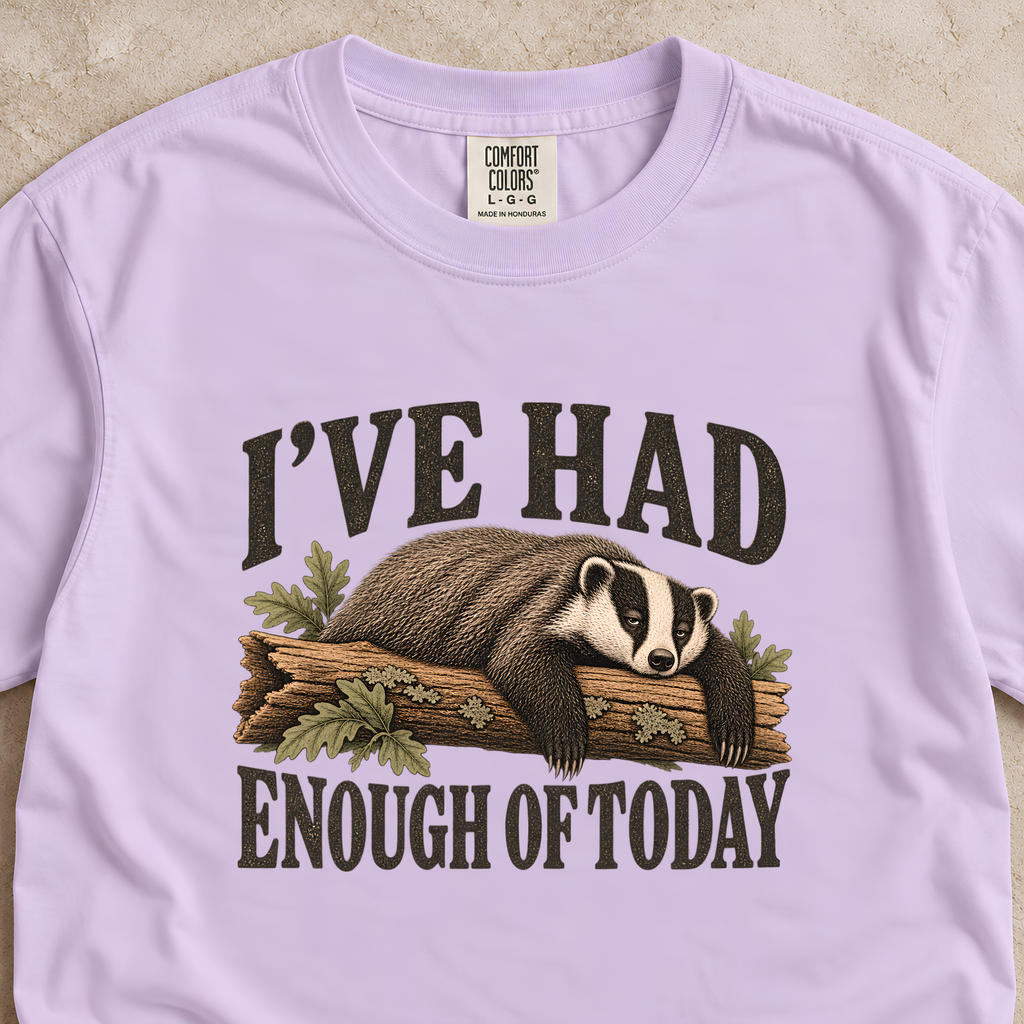 I've Had Enough of Today Shirt