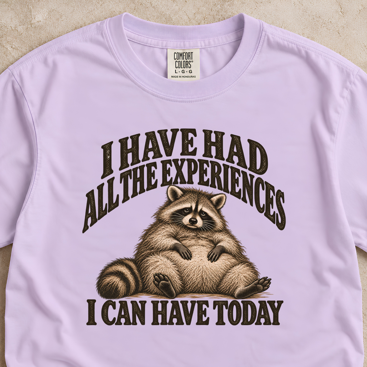 I Have Had All the Experiences I Can Have Today Shirt