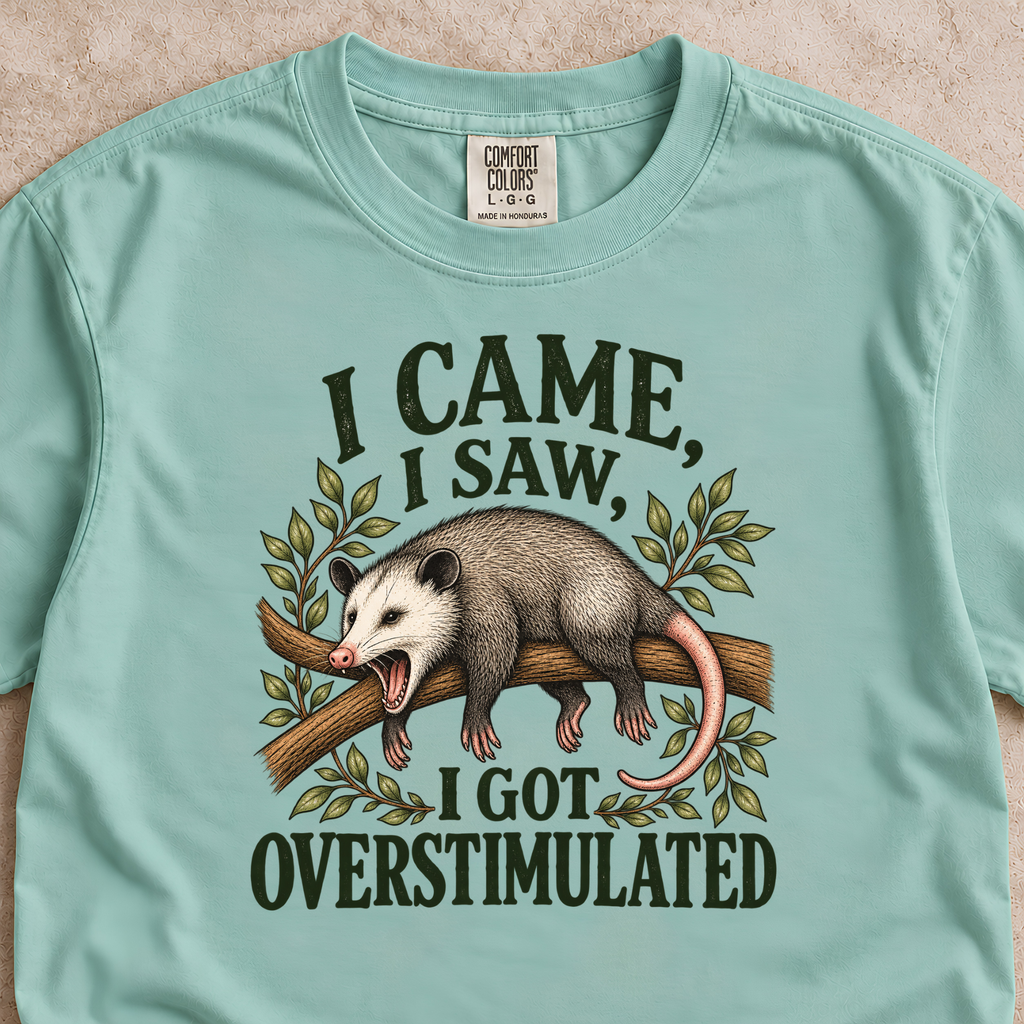 I Came, I Saw, I Got Overstimulated Shirt