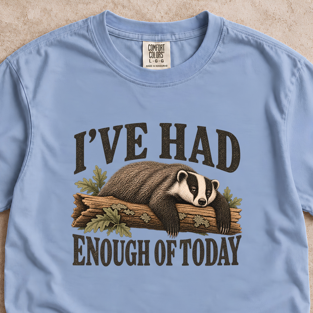 I've Had Enough of Today Shirt