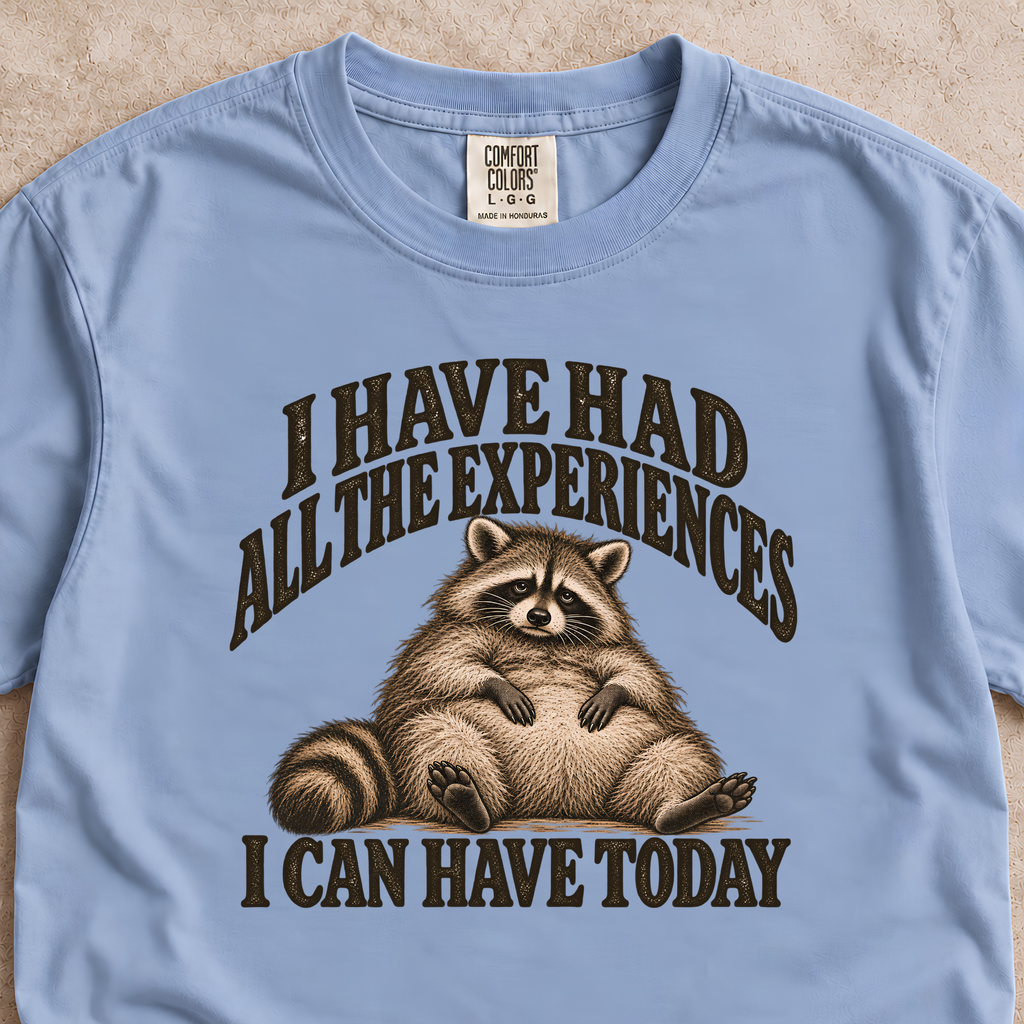 I Have Had All the Experiences I Can Have Today Shirt