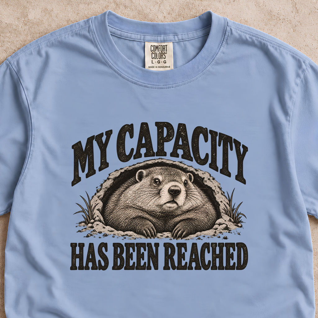 My Capacity Has Been Reached Shirt